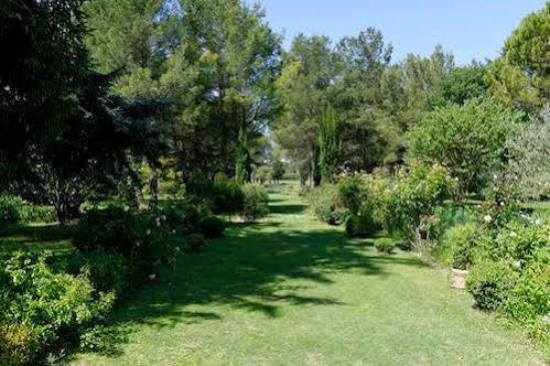 Le Domaine De Saint Veran Orgon Ngoại thất bức ảnh